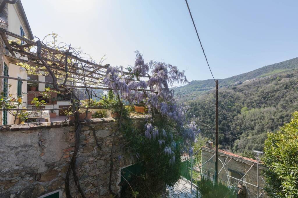הוילה La Casa Di Sandra A נולי מראה חיצוני תמונה