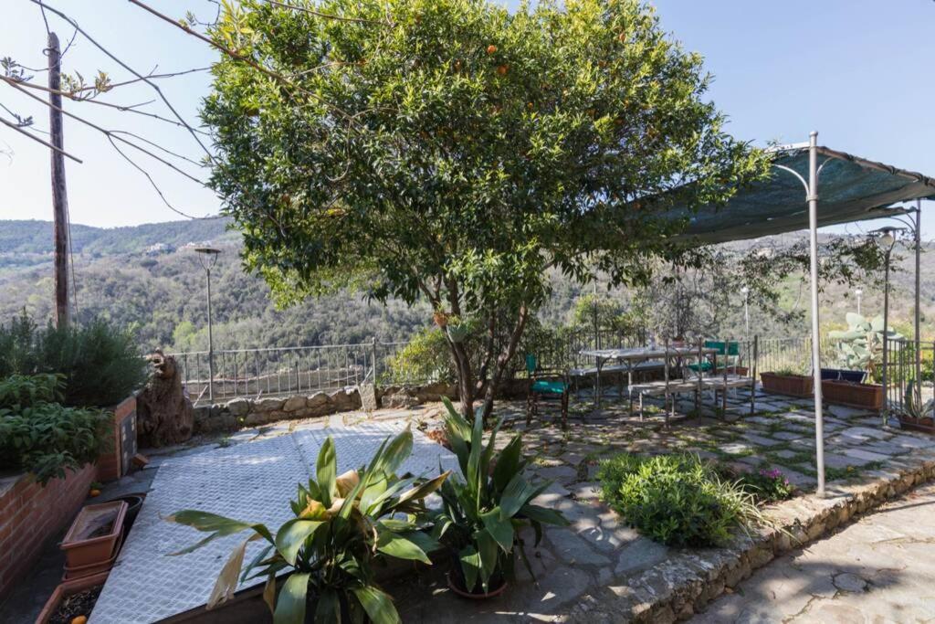 הוילה La Casa Di Sandra A נולי מראה חיצוני תמונה