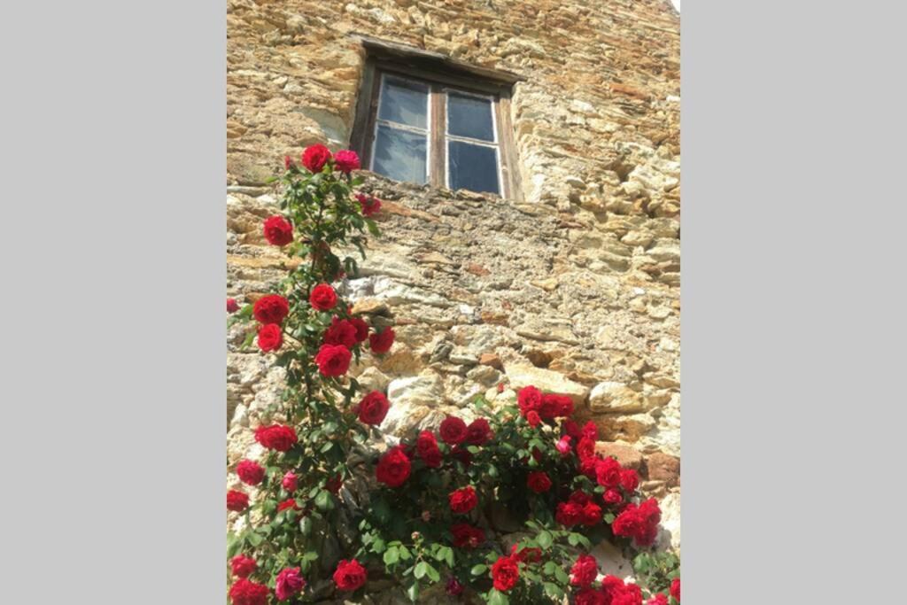 הוילה La Casa Di Sandra A נולי מראה חיצוני תמונה