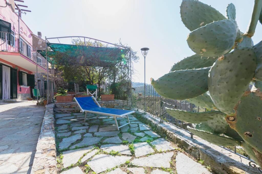 הוילה La Casa Di Sandra A נולי מראה חיצוני תמונה